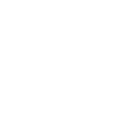 voice_icon