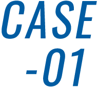 CASE-01